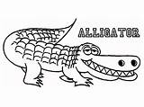 Alligator Designlooter Everfreecoloring Letscolorit sketch template