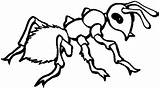 Ant Coloring Pages Kids Printable sketch template