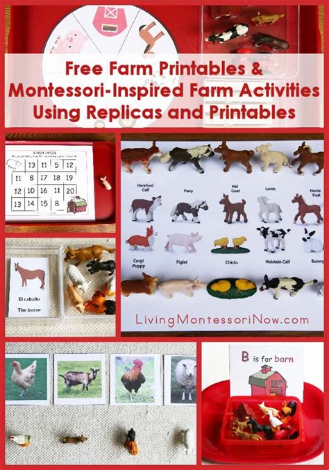 farm printables  montessori inspired farm activities