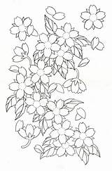 Outline Blossoms Flores Japonesas Outlines Getdrawings Flash Japanische Japanse Wan Cerezo Bloemen Kirschblüten Tatoeage Skulls sketch template