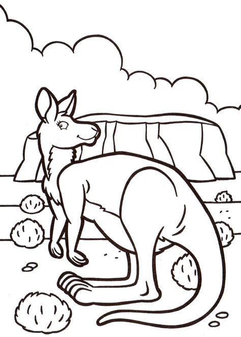 kangaroo  australia animal coloring pages  kids  print color