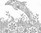 Coloring Dolphin Pages Drawing Dolphins Adult ぬり絵 sketch template
