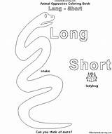 Coloring Long Short Opposites Animal Book Learning Books Big Enchantedlearning Small 79kb Enchanted Search Drawings sketch template