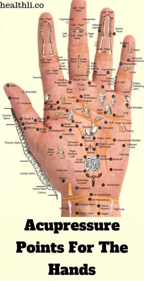Acupressure Points For The Hands Healthydrinksfordetoxandweightloss