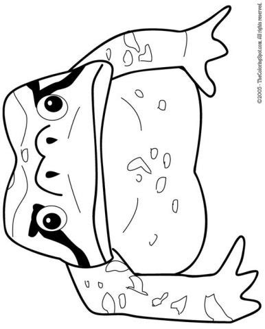 toad coloring page audio stories  kids  coloring pages