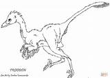Troodon Ausmalbild sketch template