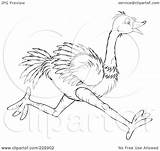 Ostrich Outline Coloring Clipart Running Illustration Royalty Rf Bannykh Alex sketch template