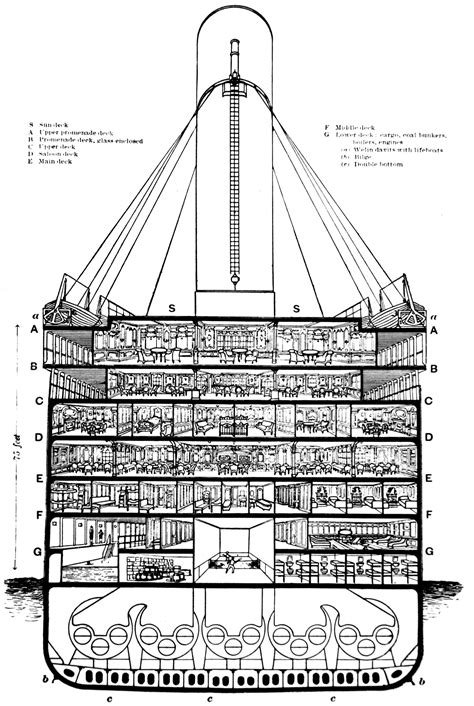 cutaway diagram   titanic rms titanic titanic titanic ship