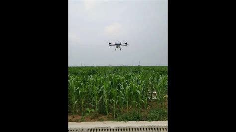 crop spraying drone flying  maize corn field  litre drones youtube