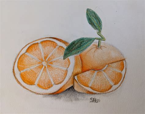 draw  shade realistic fruit  colored pencils small