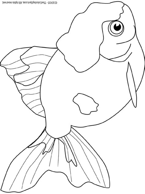 goldfish coloring page audio stories  kids  coloring pages