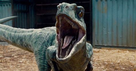 Jurassic World 2 Production Begins More Plot Details
