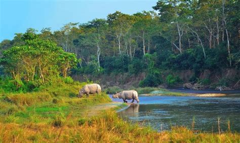 Close Encounter With Nature At Chitwan National Park