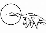 Goose Flying Coloring Two Printable Geese Categories sketch template