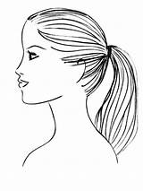 Ponytail Clipart Hair Cliparts Clipground Perfect Library sketch template