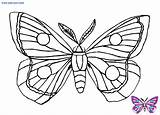 Schmetterling Borboletas Schmetterlinge Borboleta Tiere Farfalla Malvorlage Kategorien sketch template