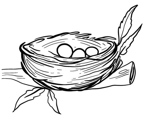 drawing  bird nest coloring page  print  color