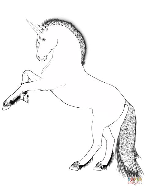 rearing unicorn coloring page  printable coloring pages
