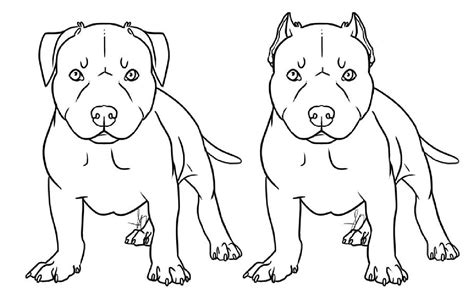 pitbull puppy coloring pages