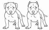 Pitbull Coloring Pages Drawing Puppy Printable Dog Pit Bull Dogs Drawings Educativeprintable Animal sketch template