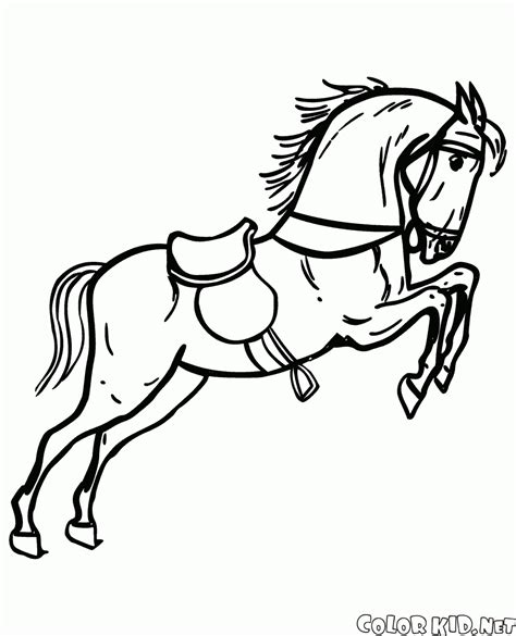coloring page horse   walk