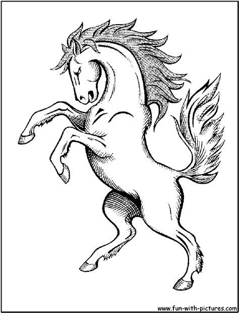 horse head coloring pages  print  getdrawings