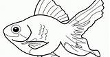 Ikan Hewan Mewarnai Kartun Sketsa Bestkartun Lele Mewarna Gurame Binatang Sumber sketch template