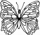 Butterfly Coloring Pages Butterflies Printouts Z31 Odd Dr Library Clipart Comments Kids sketch template