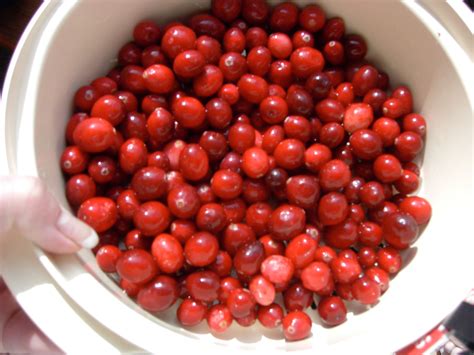 cranberry cranberry red peppercorn food