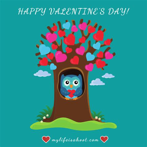 wishes   happy valentines day  owls  cute animal