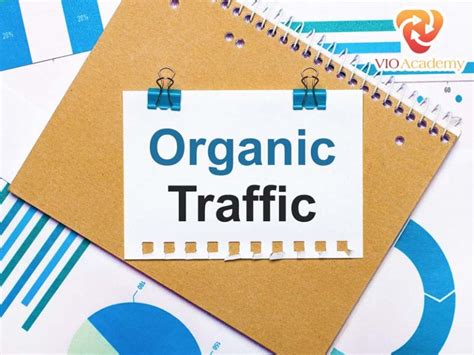 Organic Traffic Là Gì Tầm Quan Trọng Của Organic Traffic Trong Seo