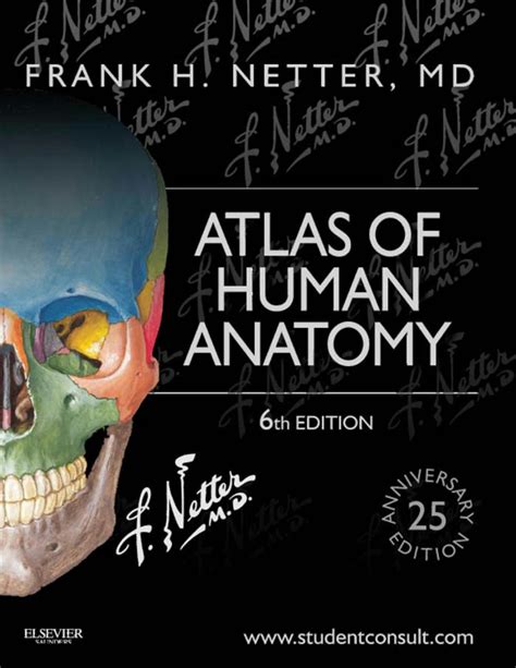 netter atlas  human anatomy  multivast