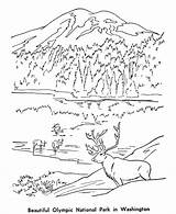 Coloring National Pages Park Olympic Wilderness Parks Places Kids Sheets Colouring Printable Adult Grand Historic Canyon Clipart Printables Patriotic Activities sketch template
