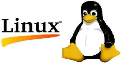 linux os server applications videomedia  server mjpg streamer