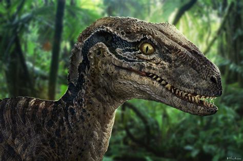 Jurassic World 2015 Universal Pictures By Karl Lindberg — Prouser Me