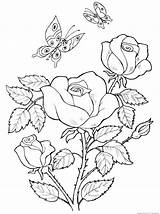 Para Desenhos Colorir Flores Visitar Pesquisa Sarnat Marjorie Coloring Google Pages sketch template