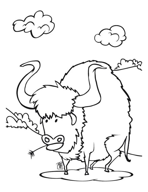 baby buffalo coloring pages coloring page blog