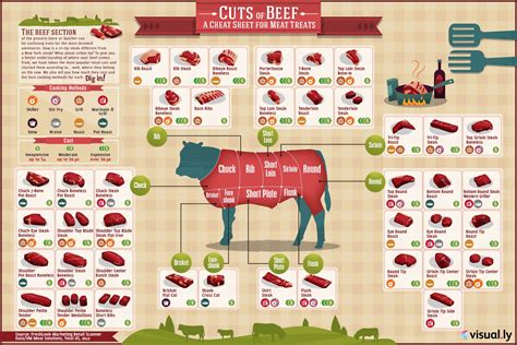 cuts  meat  infographic  select  cook