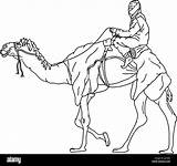 Camel Bedouin sketch template