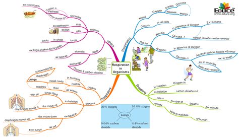 fun mind map  science class  cbse chemical reaction  equation