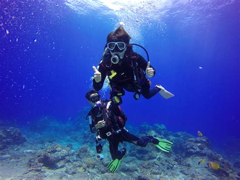 divers underwater image  stock photo public domain photo cc images