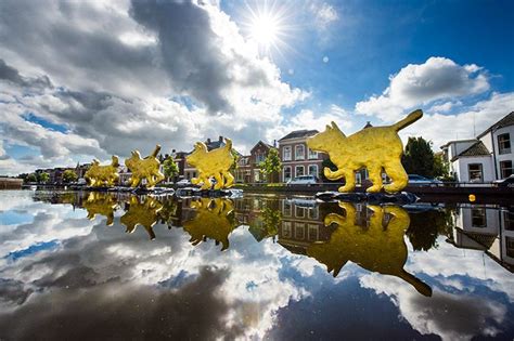 floating dogs van margot brekelmans museum