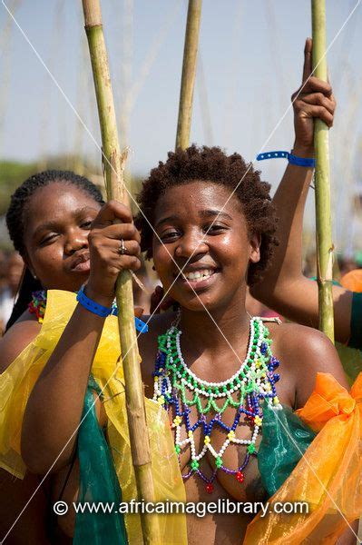 photos and pictures of zulu maidens deliver reed sticks to the king