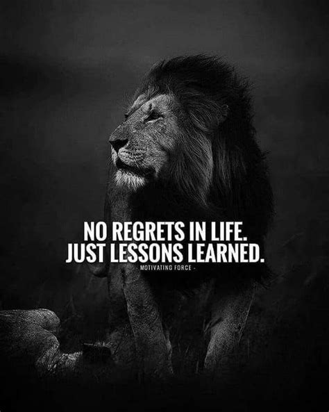 Pin By Carmen On Lion Wisdom Words Of Wisdom Quotes Funny