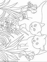 Coloring Cat Pages Lovers Printable Birthdayprintable sketch template