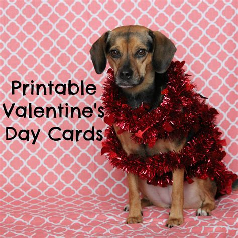 printable valentines day cards  dogs  dog lovers