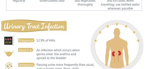 infographic understanding  preventing hospital acquired infections