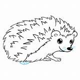 Hedgehog Draw Drawing Easy Cute Drawings Step Easydrawingguides Animals Line Kids Lines Tutorial sketch template