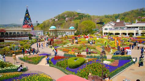 Tour Hàn Quốc Seoul Đảo Nami Everland 5n4d Hè 2019 Du Lịch Nam