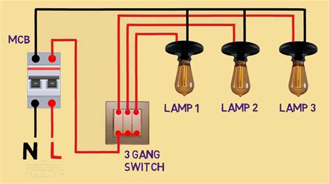 electrical house wiring  gang switch wiring diagram connection youtube